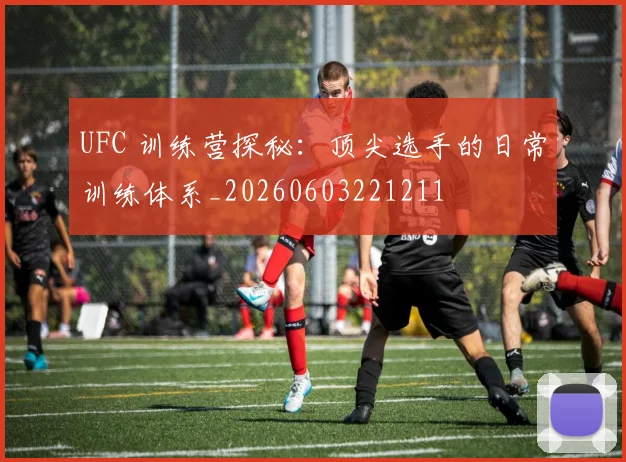 UFC 训练营探秘:顶尖选手的日常训练体系_20260603221211
