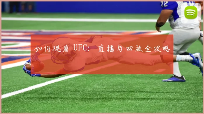 如何观看 UFC：直播与回放全攻略